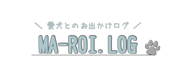 MA_ROI.LOG